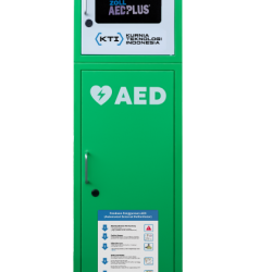 AED Standing Cabinet