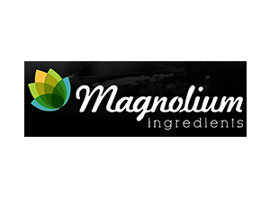 24-logo-Magnolium-Mandiri-Indonesia